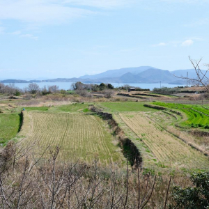 【離島暮らしのリアル】直島移住はじめて雑記～第12回：お隣の豊島に行ってみた