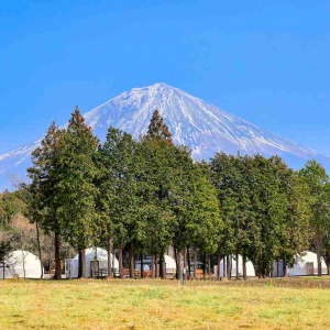 朝霧高原がまたおもしろくなる！人気エリアに注目グランピング施設がオープン