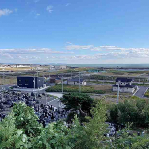 1本の木に会いに行く【38】石巻市南浜・植樹された黒松＜宮城県＞