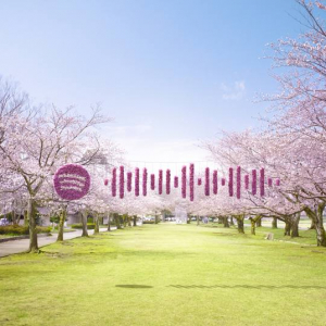 Spotify活用の“音で旅する”プロジェクト「SOUND TOUR」始動、まずは石川県で