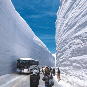 【今年は18mの大迫力！】立山黒部アルペンルート全線開通が6月まで全線開通