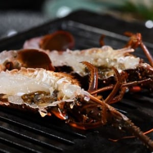 【徳島の旅】 豪快な郷土グルメ「海賊料理」を味わい尽くす！ そのルーツと舟盛りも