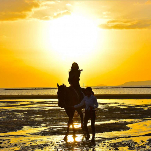 日本の夕陽百選の香川・有明浜沿いで乗馬体験も！グランピング施設がオープン