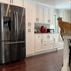 距離はあるけど大丈夫？冷蔵庫の上までジャンプで移動したい猫、そのチャレンジは成功なるか？！【アメリカ・動画】