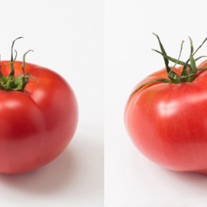 ［トマトの種類］大＆中玉編！特徴や、おいしい簡単レシピも紹介