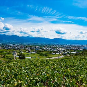 【日本最古を探せ】国産ワインのルーツ！山梨県「旧宮崎葡萄酒醸造場施設」