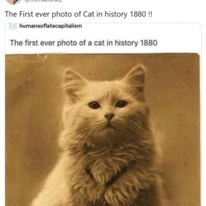 1880年に撮影されたという猫の写真は”世界で初めて撮影された”ものではありませんでした 「Twitterはほんとガセとかデマの巣窟」「なんにせよ可愛いことには違いない」