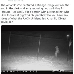 動物園の監視カメラに映った二足歩行する正体不明の生物 「狼男だ」「クラッシュ・バンディクー」