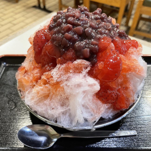 かき氷の名店で裏かき氷を食え！ 東京都北区の『だるまや餅菓子店』