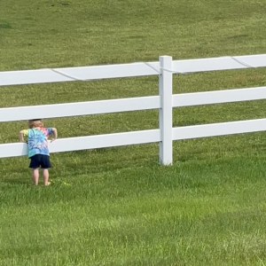 近所の牧場の馬たちと仲良しな男の子。この子が呼びかけるように声を上げながら柵をパンパン叩くと・・【アメリカ・動画】