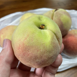 違反トラックが売ってた桃を盗難地域の農家に見てもらった結果「盗まれた桃の可能性高い」