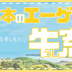 【注目】夏休みの予定に迷ったらココ！「瀬戸内国際芸術 祭」と「牛窓巡り」