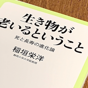 「老い」もまた成長　稲の一生に見る人生訓