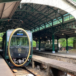 【京都・ローカル線の旅】叡山電車「ひえい」と初夏の青もみじ