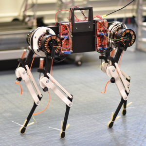 動物の歩行学習プロセス解明を助けるロボット犬「Morti」。わずか1時間で歩行可能に
