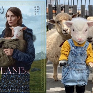 羊を前に何を想う？　映画『LAMB／ラム』羊から産まれた“羊ではない何か”ことアダちゃんが日本の羊にご対面