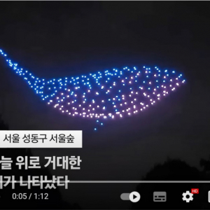 『ウ・ヨンウ弁護士は天才肌』最終話配信日のソウルの夜空にクジラ出現 「クジラが飛び回るシーンが大好き」「韓国ドラマの中では断トツ」