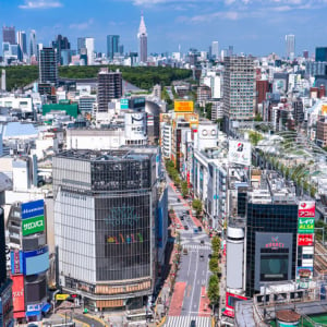 渋谷駅まで電車で30分以内、中古マンション価格相場が安い駅ランキング 2022年版