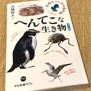 「森の中を飛ぶ」アマゾンマナティーの生態