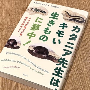 見た目も生態もインパクト強すぎ　ホシバナモグラの奇妙なエサの見つけ方