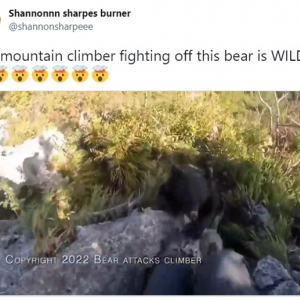 「登山中に熊に襲われた」という日本人登山者の動画が世界中に拡散される 「素手でよく撃退したよ」「危なかったな」