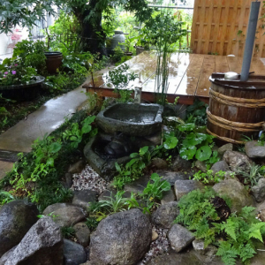 水害対策で注目の「雨庭」、雨水をつかった足湯や小川など楽しい工夫も。京都や世田谷区が実践中