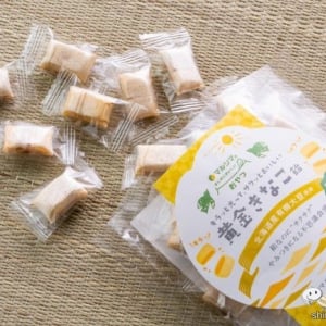 【新発売】飴なのにサクサクの不思議食感!? 「まじめにおいしいおやつ」シリーズの新作『黄金きなこ飴』をおためし！