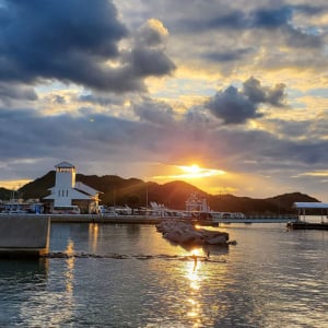 瀬戸内国際芸術祭の舞台、人口800人弱の”豊島”に移住者が増えている！ 「余白のある」島暮らしの魅力とは？