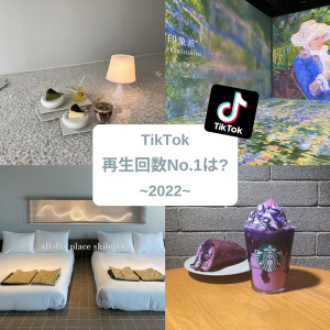 2022年のトレンドをisutaの【TikTok】で振り返り！今年1番バズった投稿は、あの“スポット”だったよ