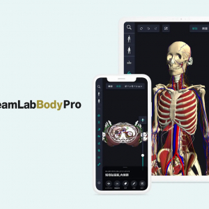 チームラボが開発。3Dで骨や筋肉の動きが見えるアプリ「teamLabBody Pro」リリース