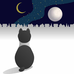 むぎ(猫)、四季を描くプロジェクト楽曲第四弾「冬の惑星」の配信リリースが決定