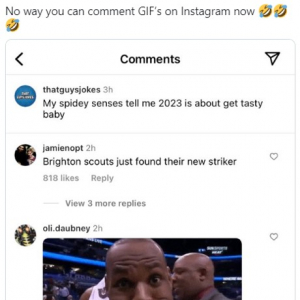 Instagramのコメント欄に出現したGIFアニメに戸惑いを隠せないユーザー 「InstagramのTwitter化が始まった」「1週間後にはTikTokも真似しているはず」