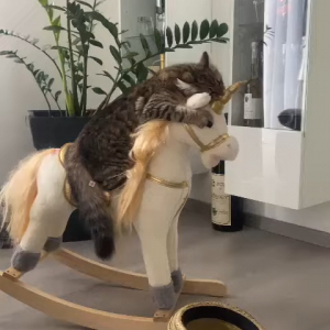 『ロッキングユニコーン』に乗っている猫。ギュッと抱きつきながら揺れているその姿がかわいすぎる！！【海外・動画】