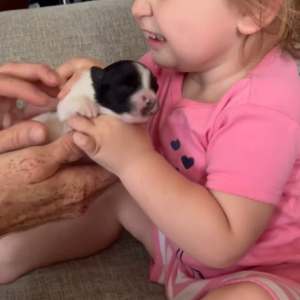 幼い女の子は子犬にメロメロ！かわいさを噛みしめるような表情を浮かべたり、キスをプレゼントしてあげます！！【アメリカ・動画】