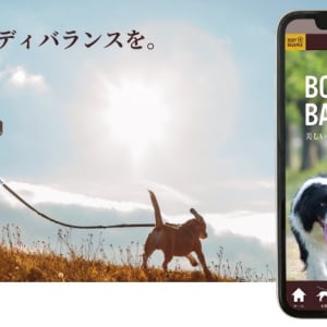 愛犬の運動量に応じたフード量を表示するアプリ「BODY BALANCE」登場