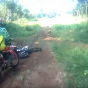 【ミステリー映像】伝説の小人族「マンテ族」の撮影に成功か！？茂みから走り去る人影が