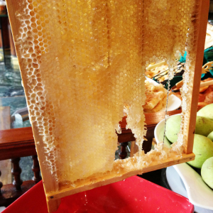 ちいかわ作者ナガノ先生が食べた「蜂の巣入りのハチミツ」を食べた結果