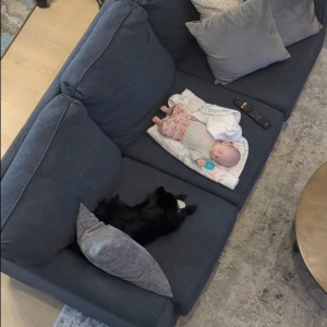 ソファで眠る赤ちゃん。その姿をすぐそばで見守るポメラニアンは、赤ちゃんと遊びたいようで『ある行動』に出ました！！【アメリカ・動画】