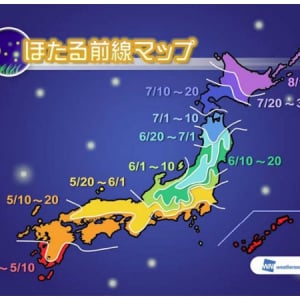 今年こそは見たい！初夏の風物詩「ほたる」の観賞スポット&見ごろ情報が公開