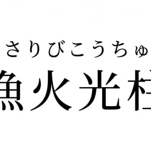 【読めたらスゴイ！】「漁火光柱」ってどんな柱！？なんだか強そう・・・この漢字、あなたは読めますか？