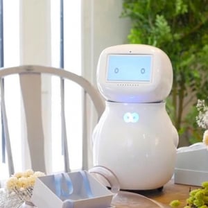 家庭用見守りロボット「cinnamon」に⾼齢者向けChat GPTが搭載、孤独感の解消となるか