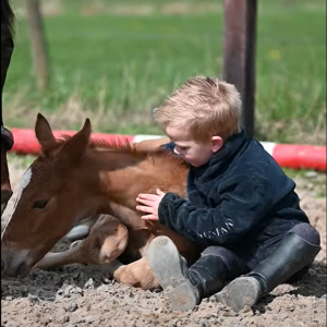 幼い男の子と子馬は大の仲良し！ふたりはずっと離れず尊みにあふれた時間を過ごしていました【海外・動画】