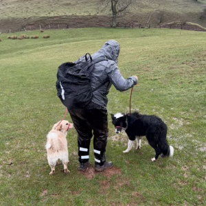 犬たちを連れて草原を歩いていたら・・。雨で地面が滑りやすくなっていたうえに、実はそこは平原ではなかったのです！！