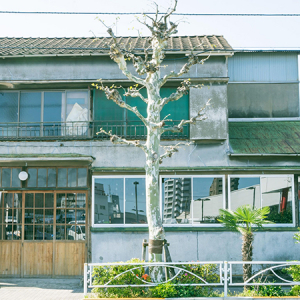 “陶芸体験と美味しい和食”がセットで楽しめる？ちょっと変わった陶芸Bar「ろくろと米 ととと」が気になります