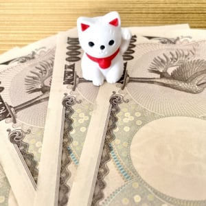 お札は毎晩アイロンがけ…「お金に好かれる人」の法則