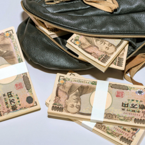 人気プロレスラー・菊タローに謎の45万円が振り込まれる→ 間違えた返して！→その結果