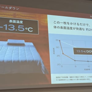 体の表面温度を13.5℃下げて冷感が持続　夏用掛け布団「BRAIN SLEEP COMFORTER PERFECT COOL」が6月8日発売へ