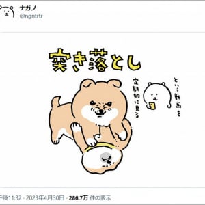 ちいかわ作者ナガノ先生が定期的に見てしまうYouTube動画「子犬の突き落とし」が1200万再生突破