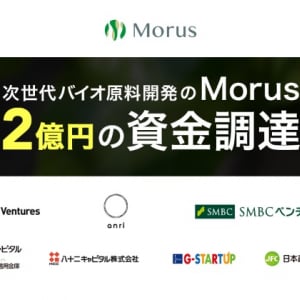 「Morus」がグローバル展開に向けたPreAラウンドで約2億円の資金調達を実施