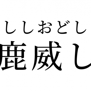 【読めたらスゴイ！】「鹿威し」って何のこと？一度は見たことある日本に馴染みのあるモノだった！この漢字、あなたは読めますか？